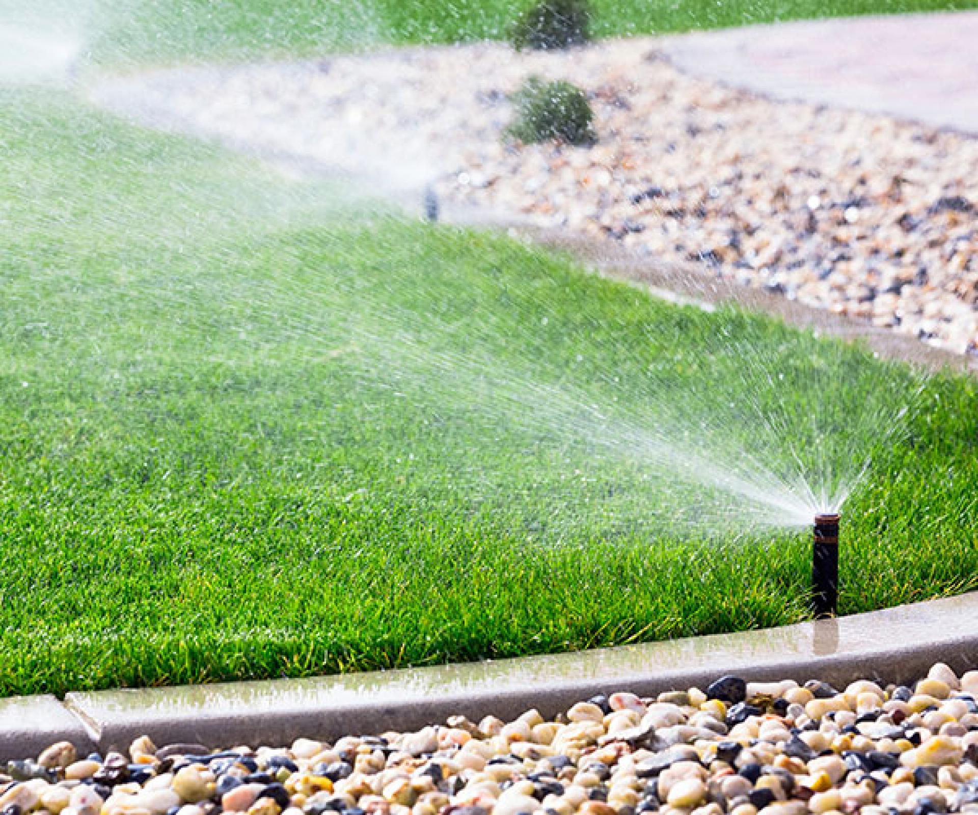 Image of reticulation